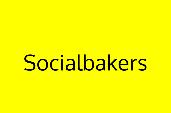 Software Solutions Provider Socialbakers