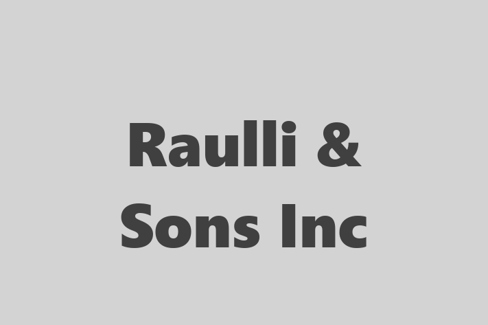 Labor Relations Raulli  Sons Inc