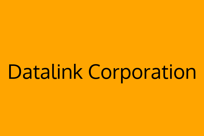 IT Company Datalink Corporation