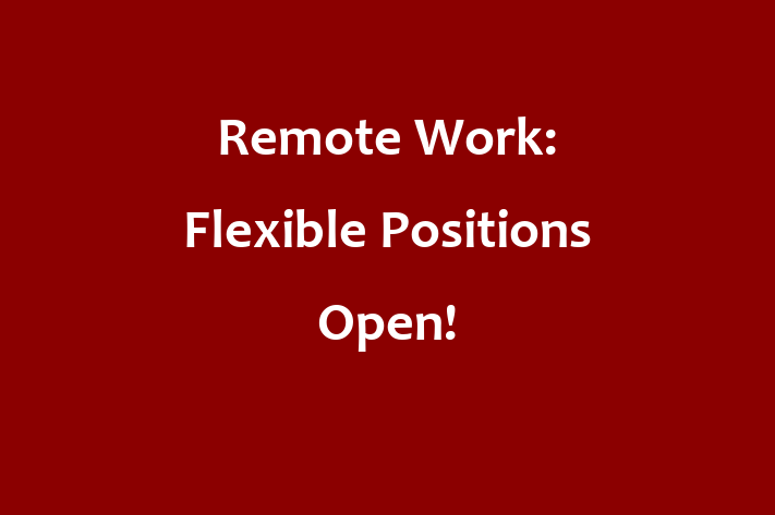 Remote Work Flexible Positions Open