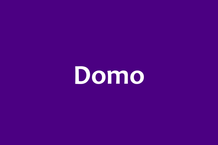 Tech Solutions Company Domo