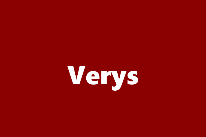 Technology Solutions Firm Verys