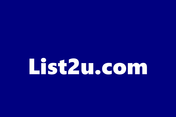 Technology Solutions Firm List2u.com