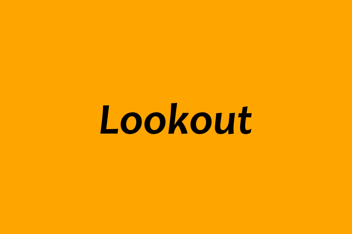 Tech Solutions Company Lookout