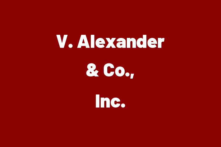 Tech Firm V. Alexander  Co. Inc.