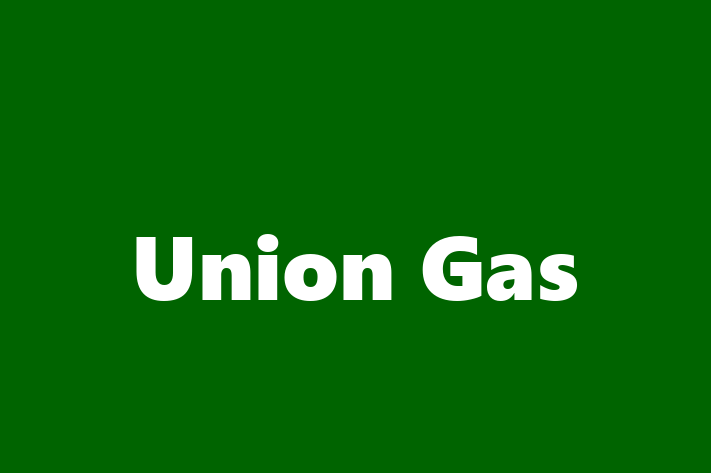 Software House Union Gas