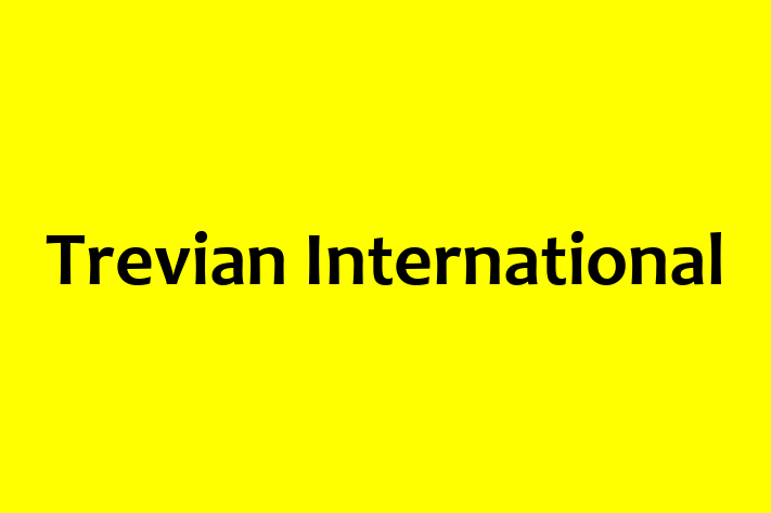 IT Company Trevian International