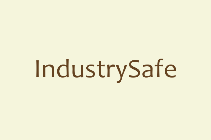 Software Consultancy IndustrySafe