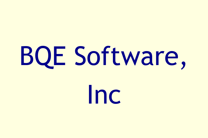 Software Solutions Provider BQE Software Inc