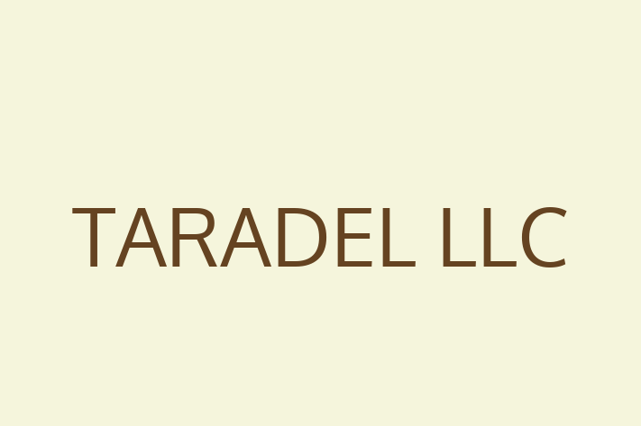 Digital Solutions Provider TARADEL LLC