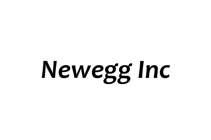 Software Consultancy Newegg Inc