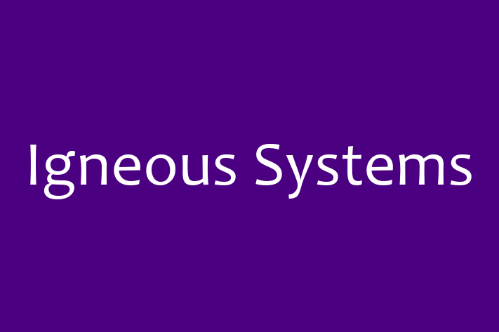 Software Firm Igneous Systems