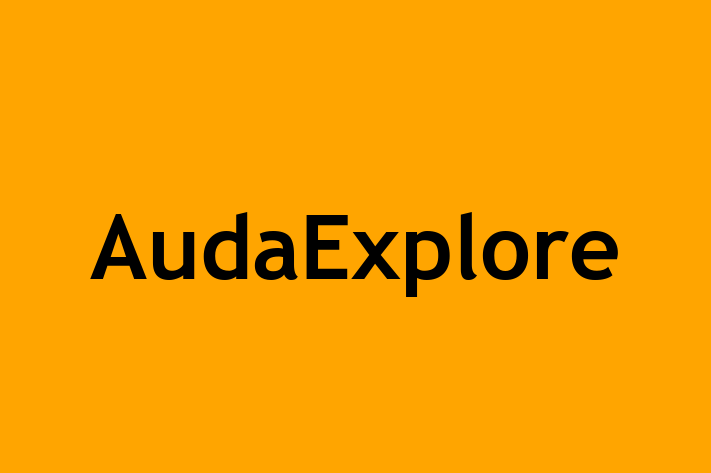 Digital Solutions Provider AudaExplore