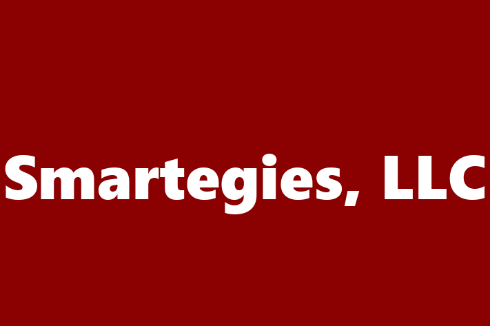 Technology Company Smartegies LLC