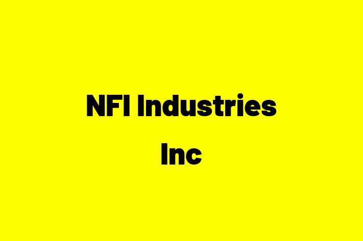 Software Firm NFI Industries Inc