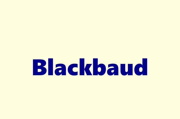 Software Consultancy Blackbaud