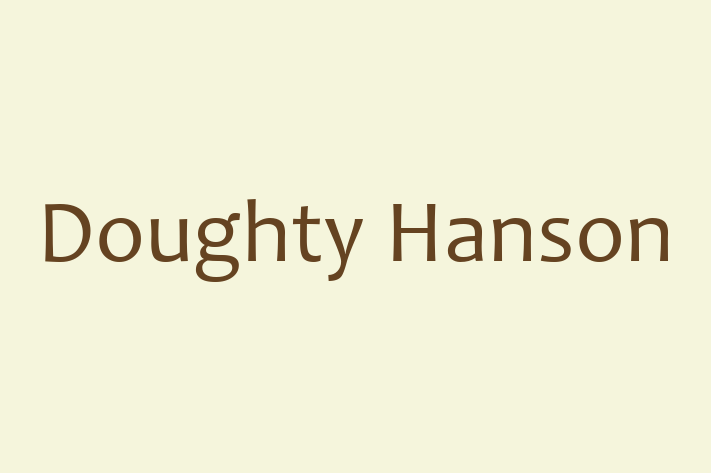 Software Engineering Company Doughty Hanson