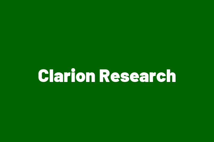 Application Development Company Clarion Research