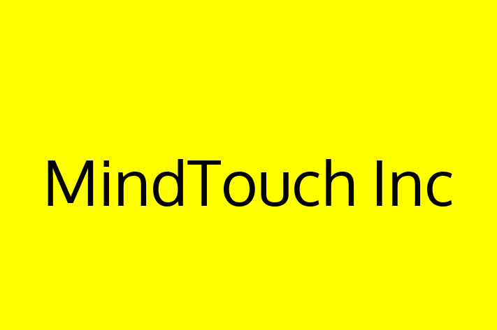 IT Company MindTouch Inc