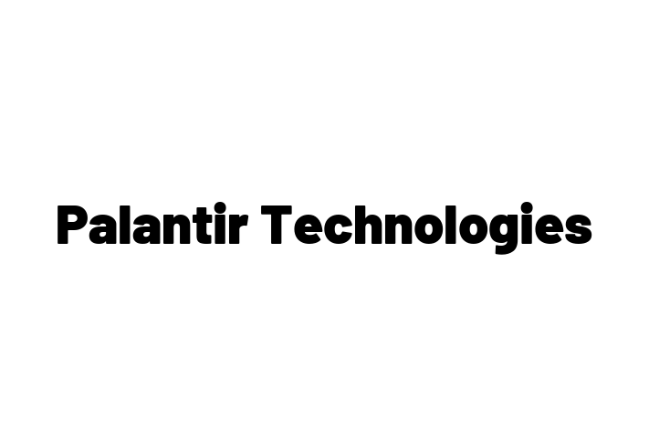 Application Development Company Palantir Technologies