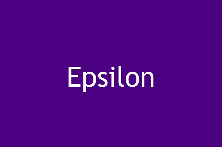 Software House Epsilon