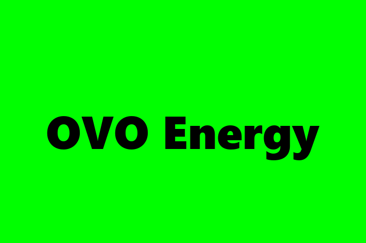 Software Solutions Provider OVO Energy