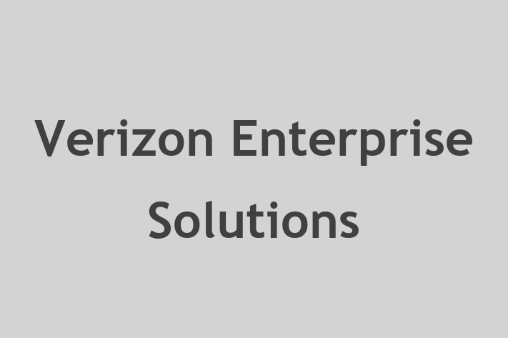 Technology Company Verizon Enterprise Solutions