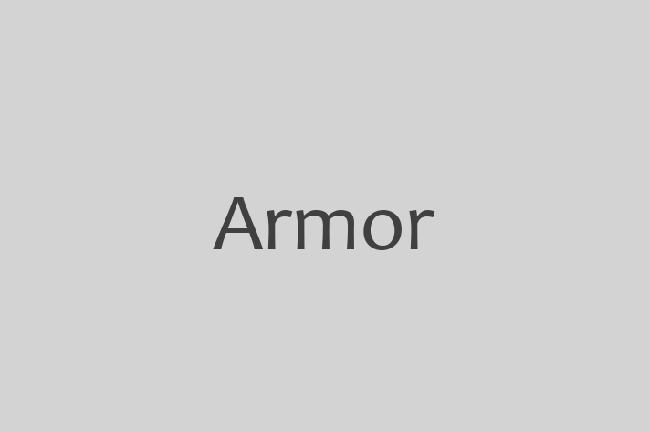 Tech Solutions Company Armor