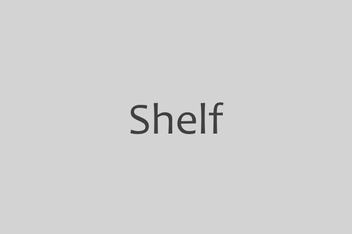 Tech Firm Shelf