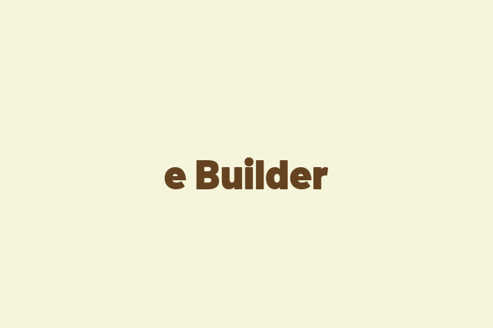 Software House e Builder