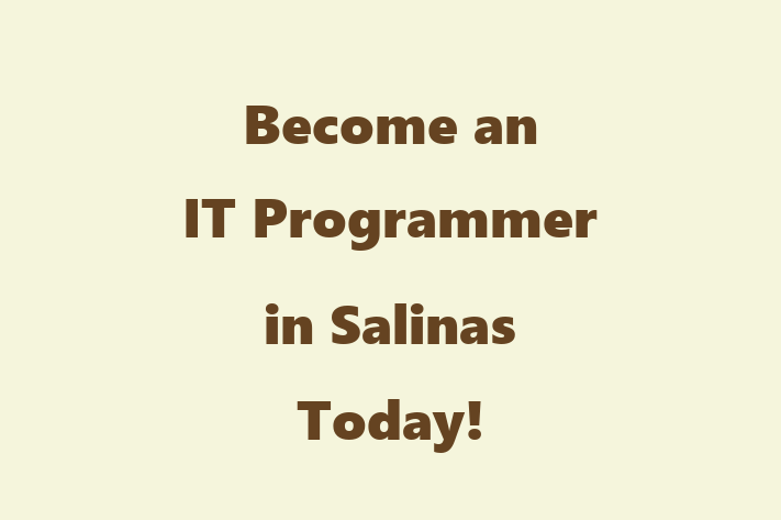 Become an IT Programmer in Salinas Today