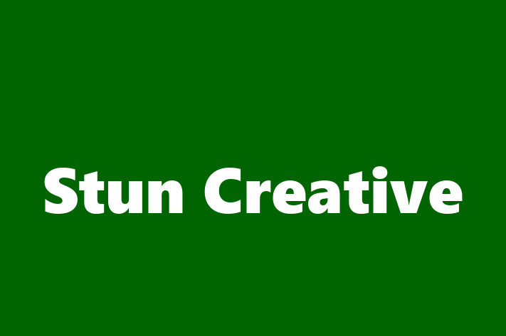 Software Engineering Company Stun Creative