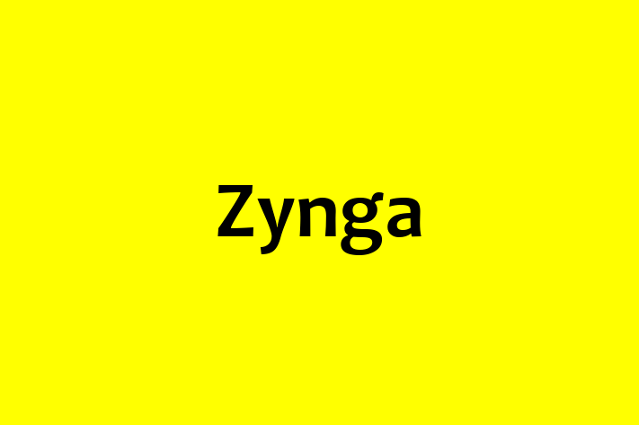 IT Company Zynga