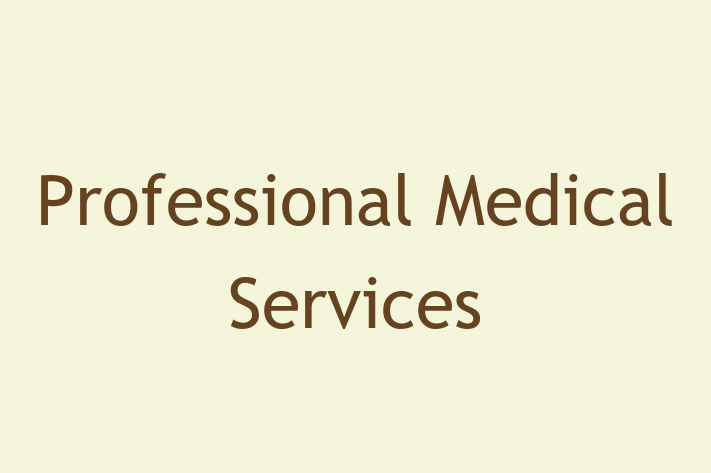 IT Company Professional Medical Services