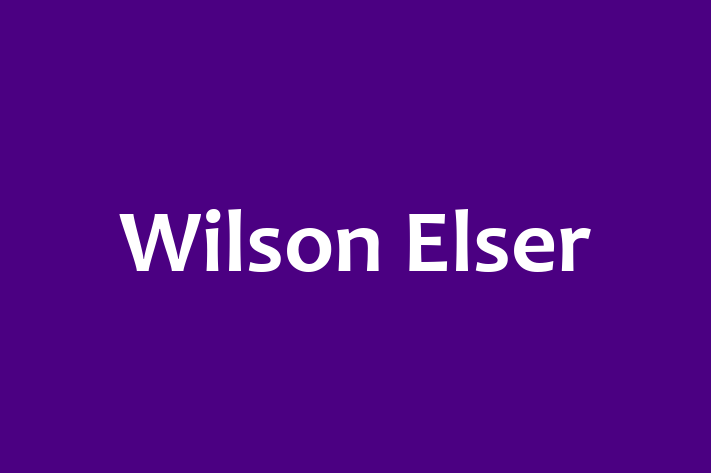 Employee Relations Wilson Elser