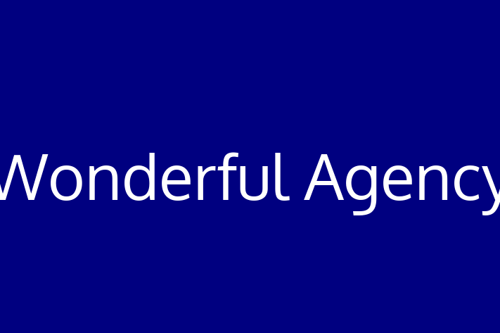 Digital Solutions Provider Wonderful Agency