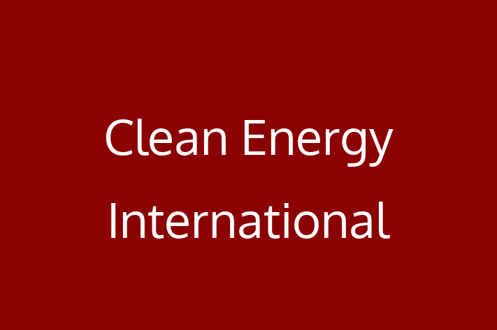 Electrical technicians Clean Energy International