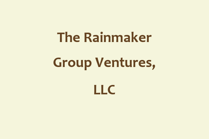 IT Company The Rainmaker Group Ventures LLC