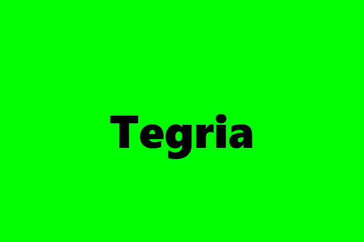 People Management Tegria