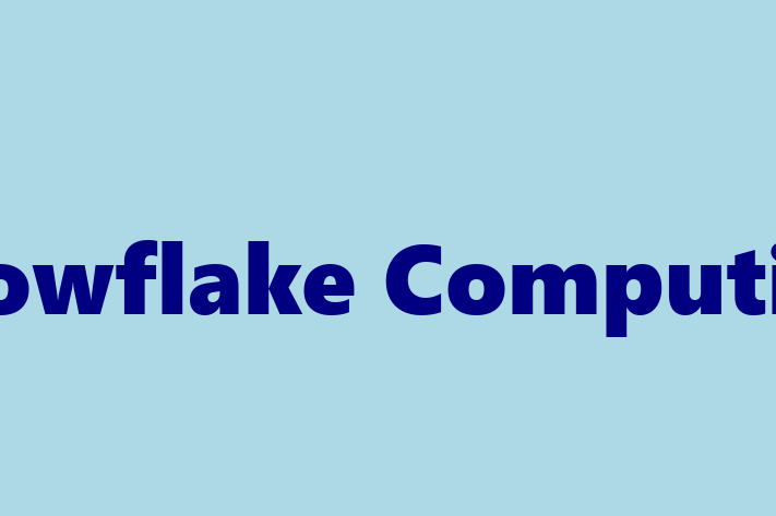 Software Services Company Snowflake Computing