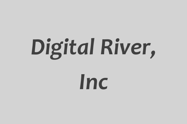 Application Development Company Digital River Inc