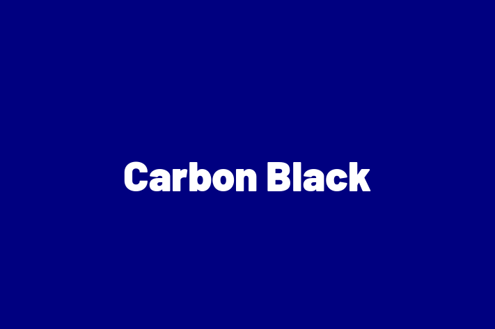 Software Consultancy Carbon Black