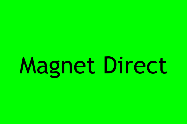 Application Development Company Magnet Direct