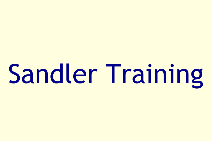 Software Consultancy Sandler Training