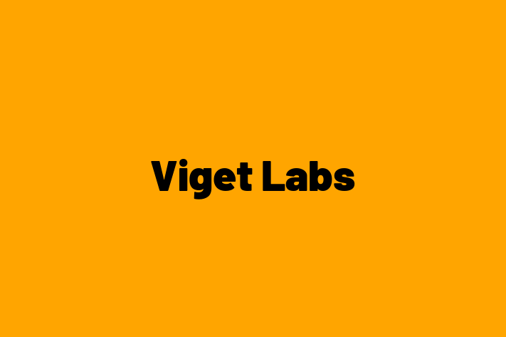 Software Development Firm Viget Labs