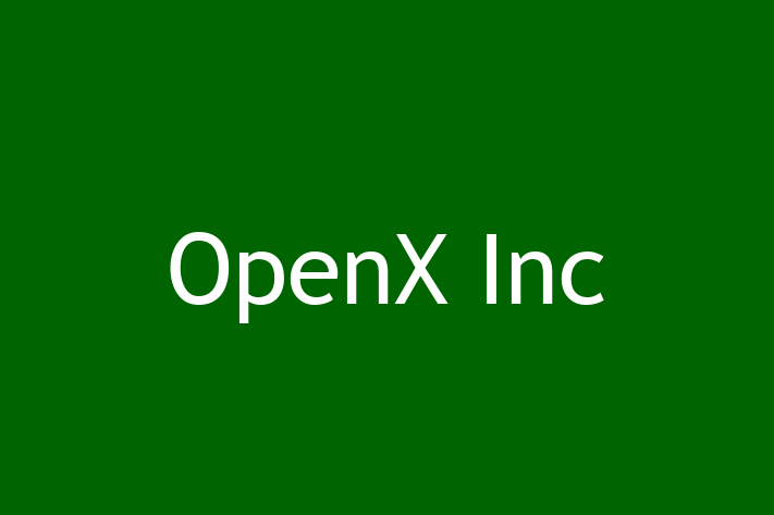 Technology Company OpenX Inc