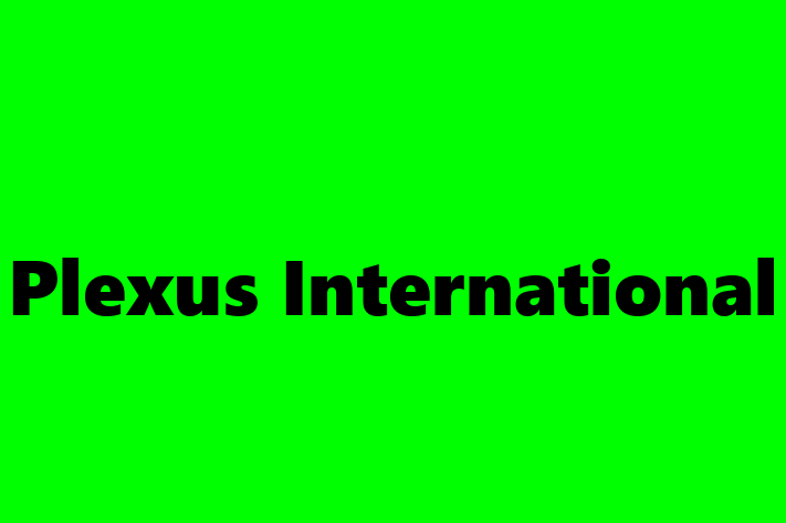 Software Services Company Plexus International