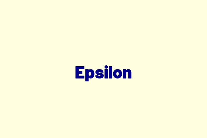 Software Solutions Provider Epsilon