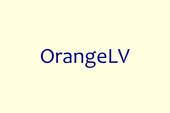 Digital Solutions Provider OrangeLV