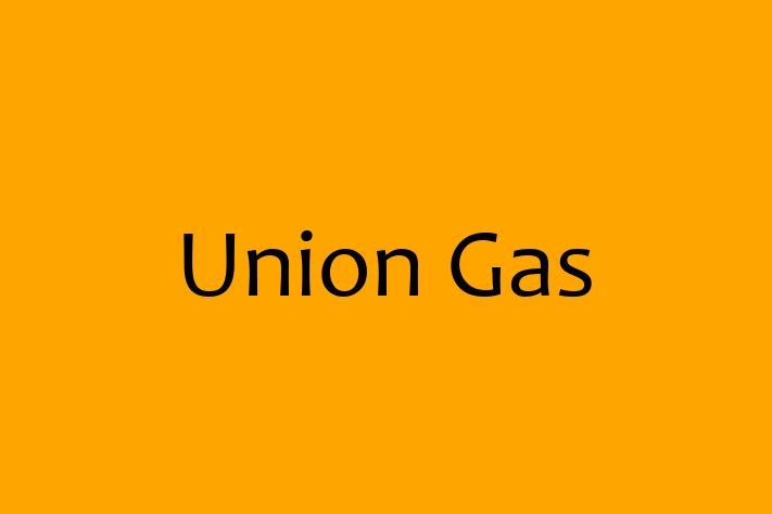 Software Development Firm Union Gas